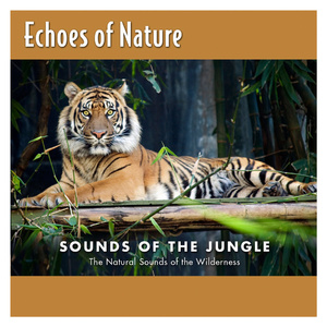 hdxxxx16火影忍者
